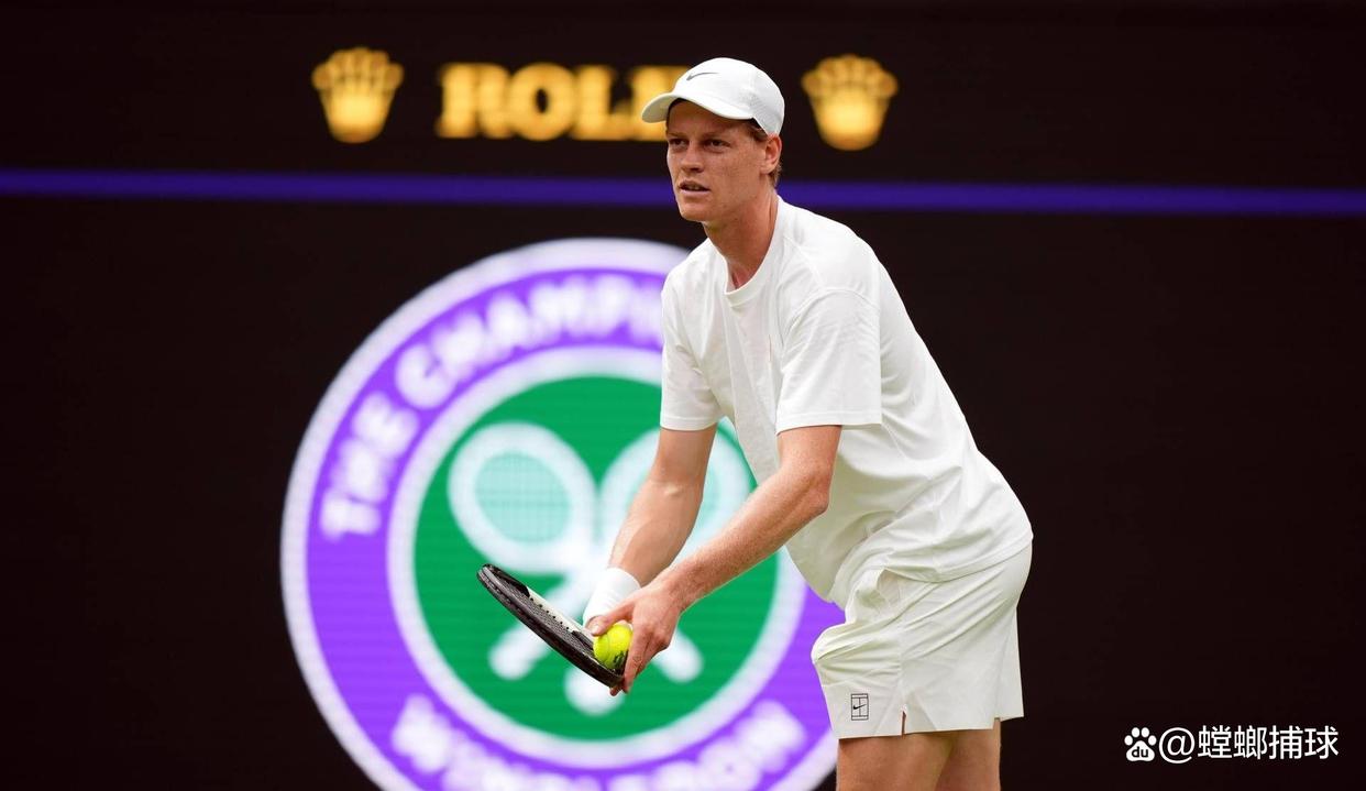 爱游戏入口-温网鏖战澳网，辛纳高光表现的简单介绍