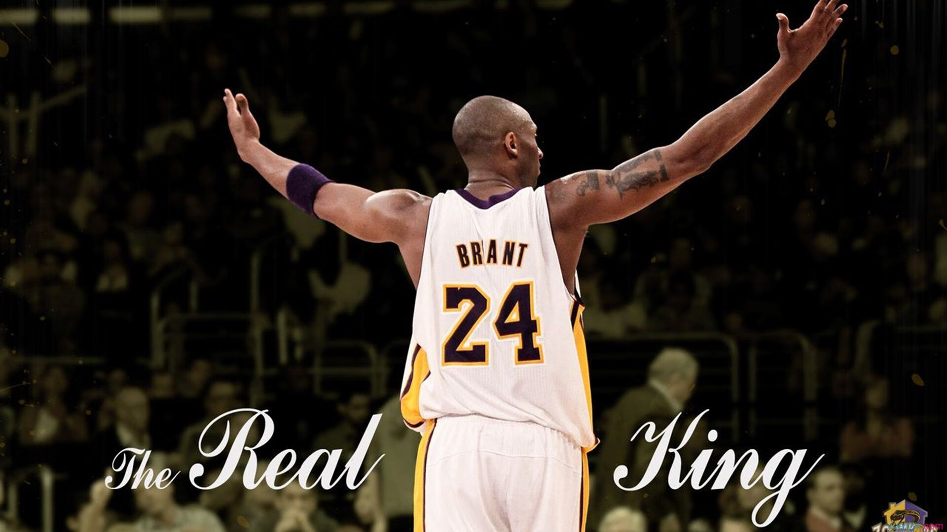 非洲雄鹰展翅击溃南美劲旅，罗德里戈关键一击改写历史